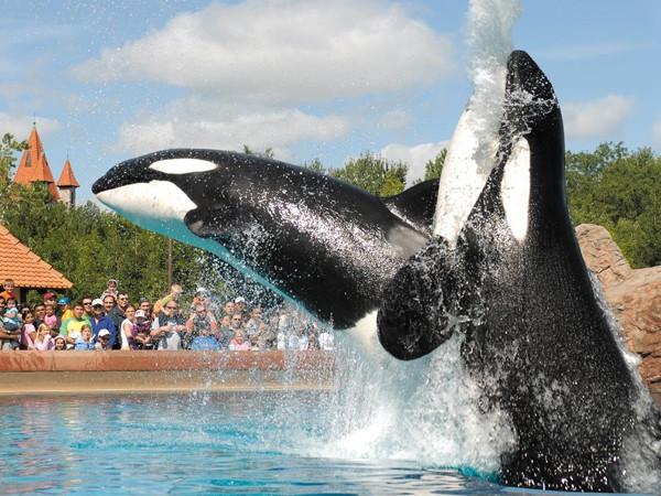 Marine Land